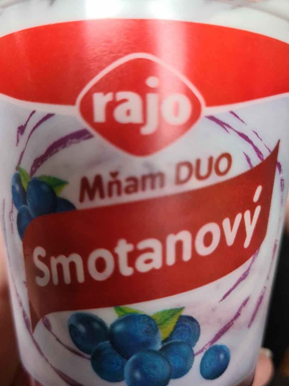 Фото - Сметановий йогурт з чорницями Rajo
