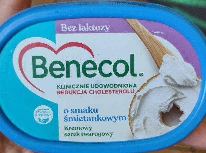 Фото - Kremowy serek twarogowy o smaku śmietankowym Benecol