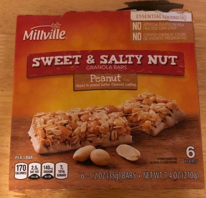 Фото - Sweet & Salty Nut Granola Bars Millville