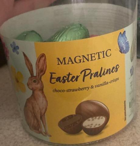 Фото - Яйця шоколадні з начинкою з шоколаду Easter Pralines Magnetic