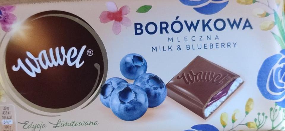 Фото - Шоколадка молочна зі смаком лохини Wawel