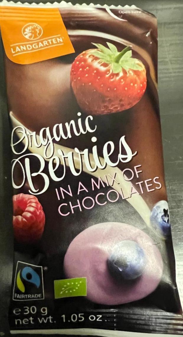 Фото - Органічні ягоди в суміші шоколаду Landgarten