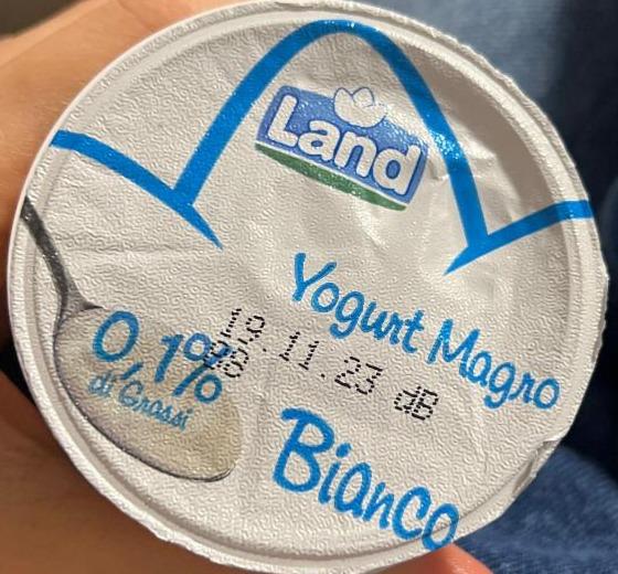 Фото - Yogurt Magro Land