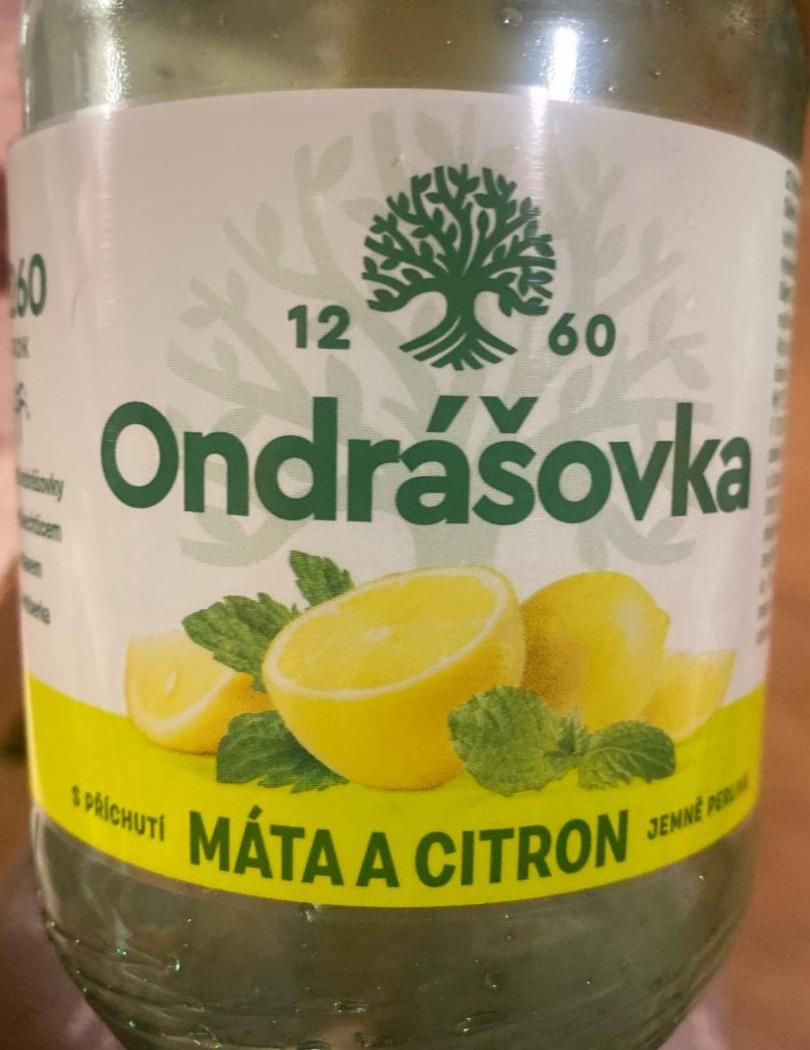 Фото - Вода газована зі смаком лимону та м‘яти Ondrasovka