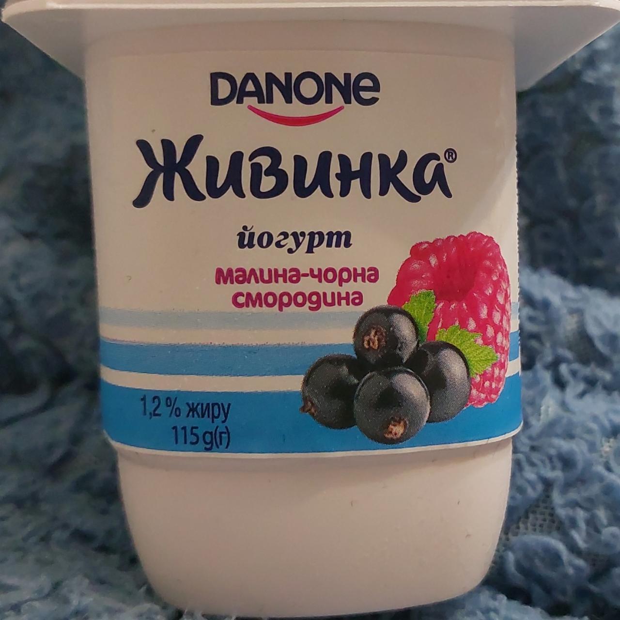 Фото - Йогурт 1.5% Малина Чорна смородина Живинка Danone