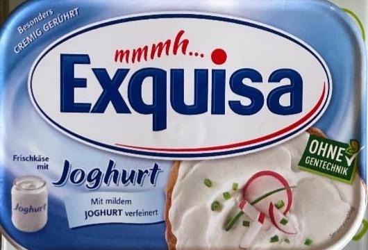 Фото - Сир 14% м'який натуральний з йогуртом Exquisa