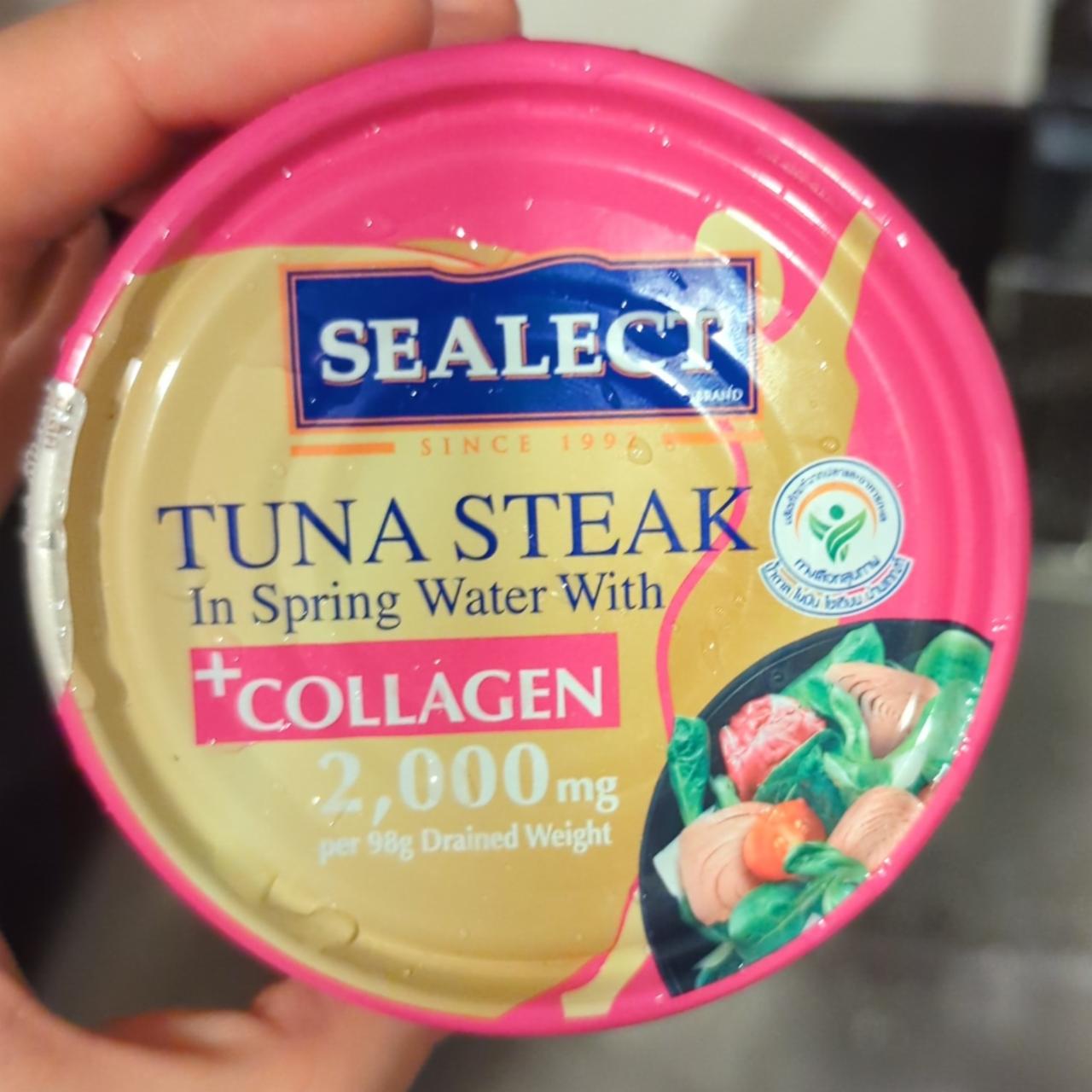 Фото - Tuna steak in spring water + collagen Sealect