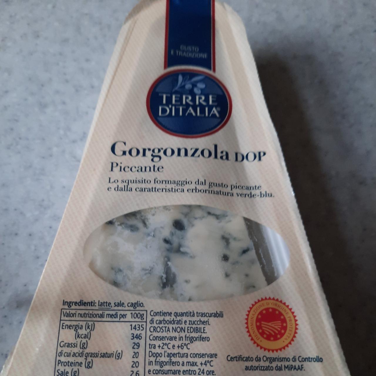Фото - Сир з пліснявою Gorgonzola Dop Terre D'Italia