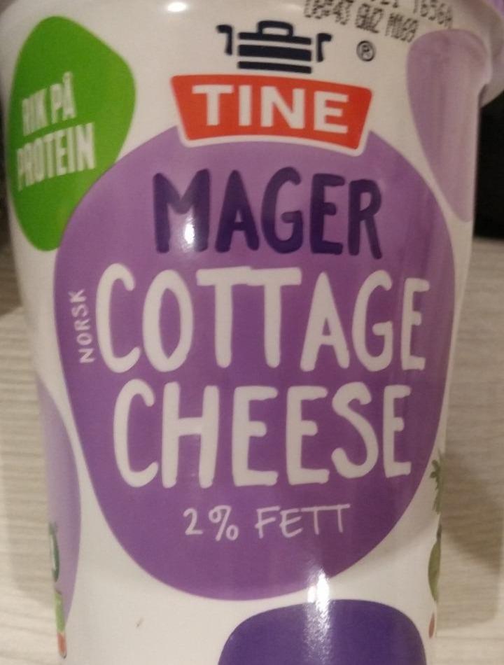 Фото - Сир кисломолочний 2% Cottage Cheese Tine