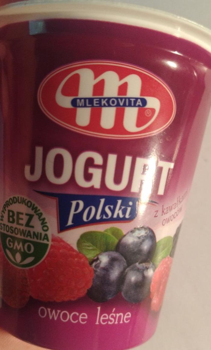 Фото - Йогурт польський Лісові ягоди з наповненням фруктів 9% Mlekovita
