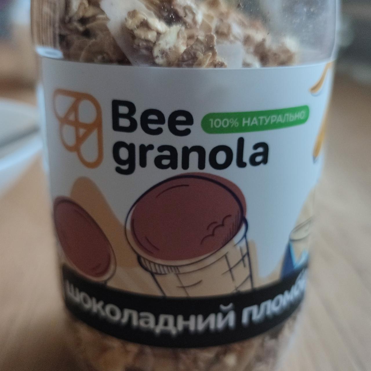 Фото - Гранола Шоколадний пломбір Bee Granola