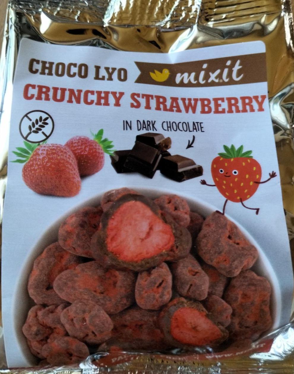 Фото - Choco Lyo Crunchy Strawberry in Dark Chocolate Mixit