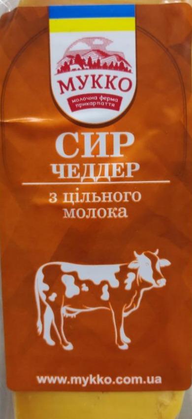 Фото - Сир 37% з коров'ячого молока Чеддер Мукко