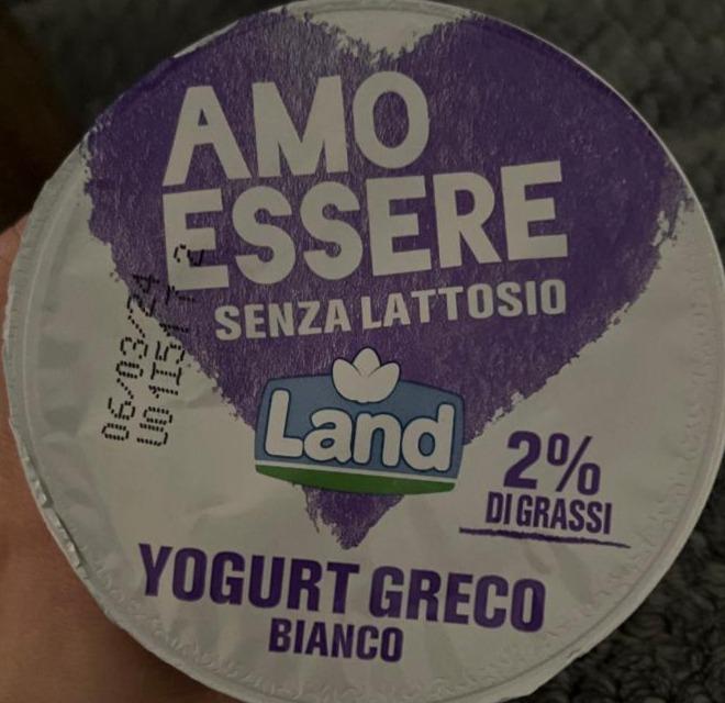Фото - Yogurt greco bianco Land