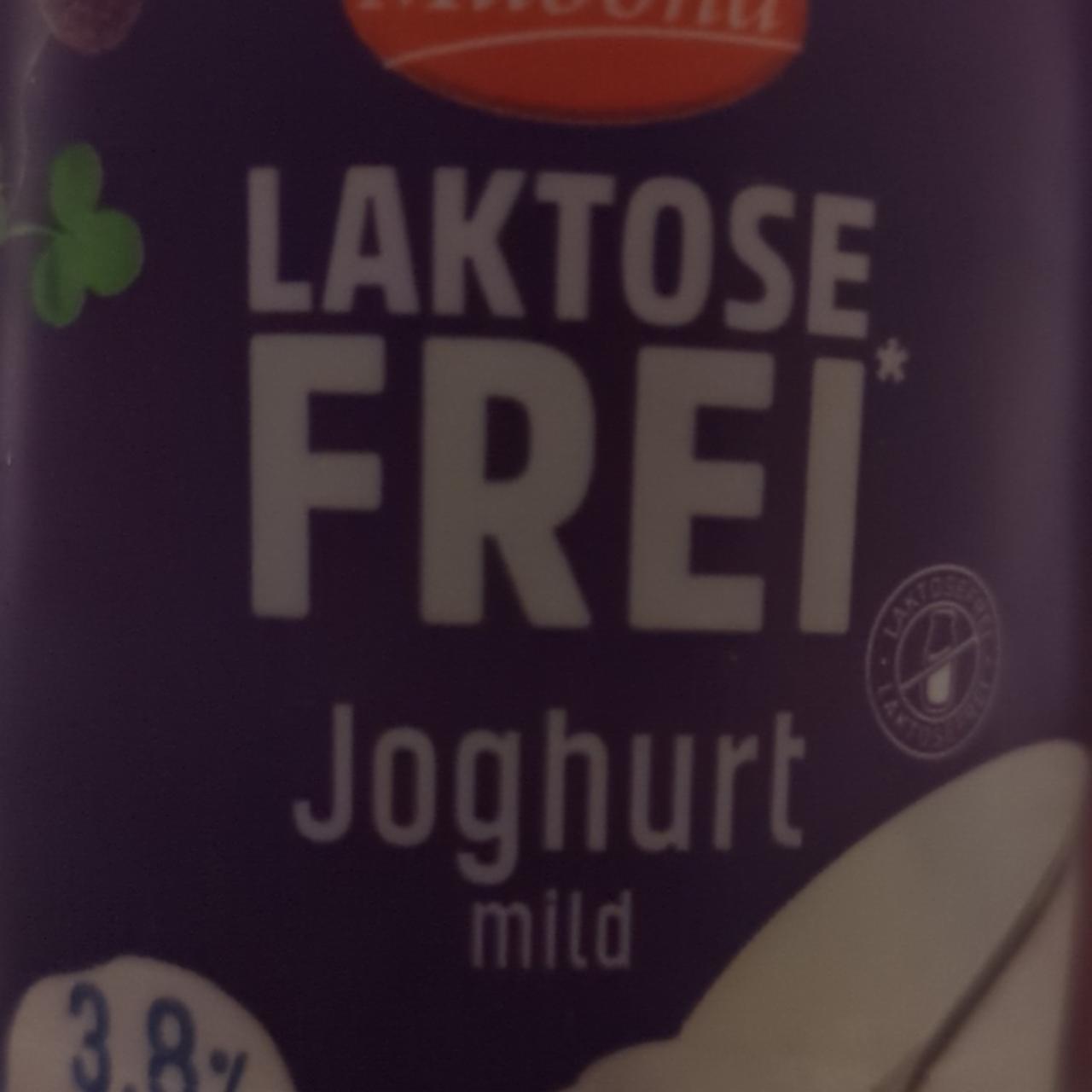 Фото - Joghurt Laktosefrei 3,8%Fett Milabon