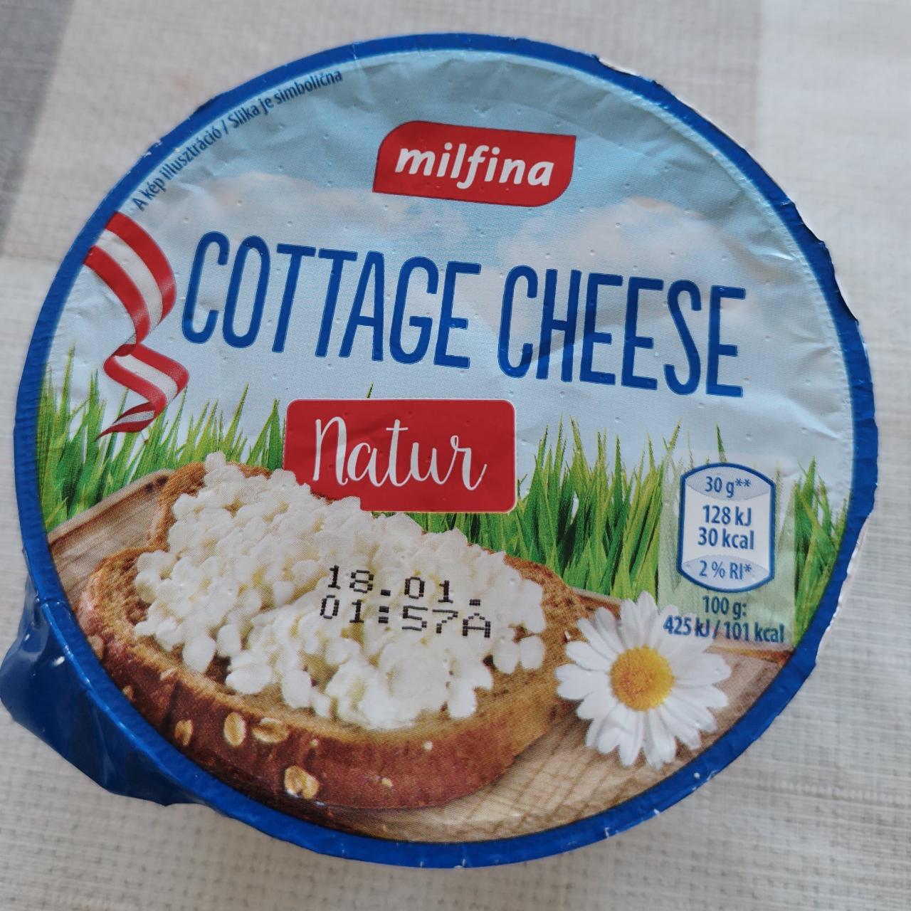 Фото - Сир кисломолочний 4.5% Cottage Cheese Milfina