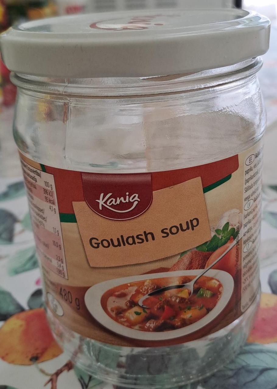Фото - Goulash soup Kania
