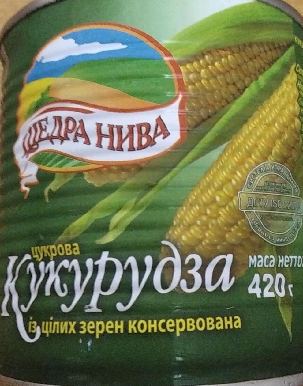 Фото - Цукрова кукурудза із цілих зерен стерилізована Щедра нива