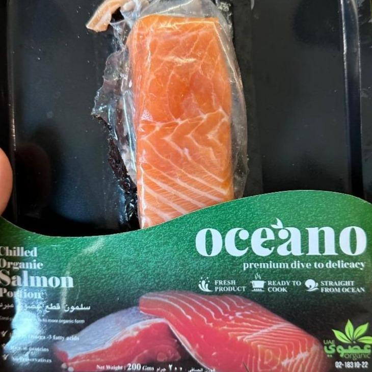 Фото - Fresh Organic Salmon Portion Oceano