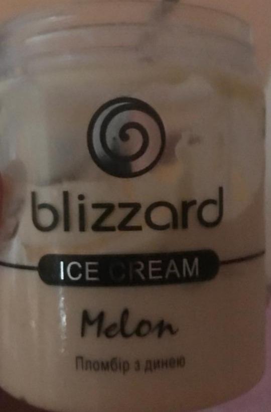 Фото - Морозиво пломбір з динею Blizzard