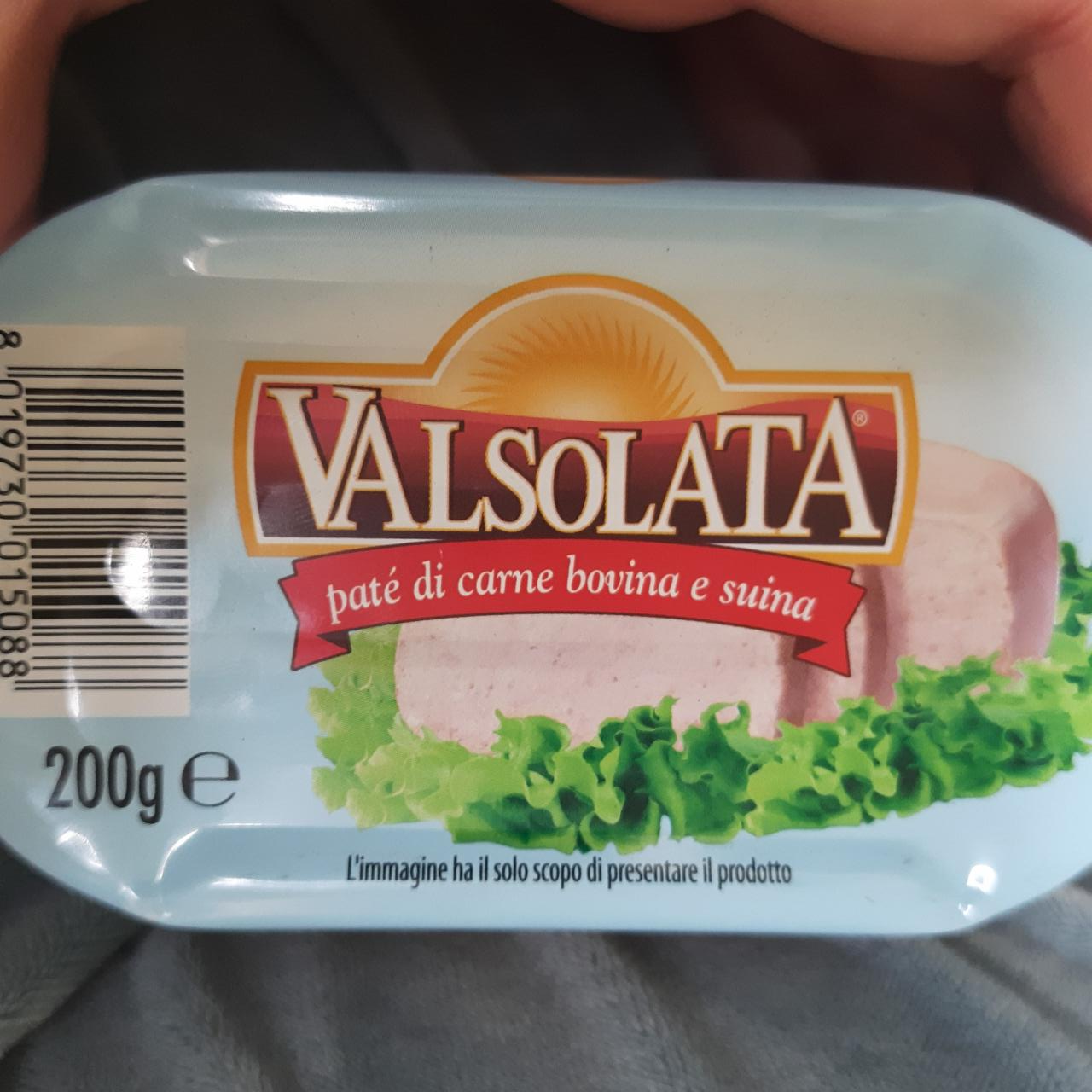 Фото - Паштет з яловичини і свинини Valsolata