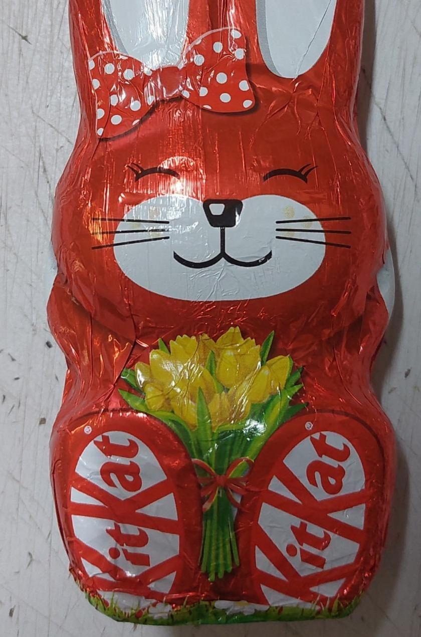 Фото - Фігура шоколадна з молочного шоколаду зі злаковими пластівцями Великодній кролик Kit Kat