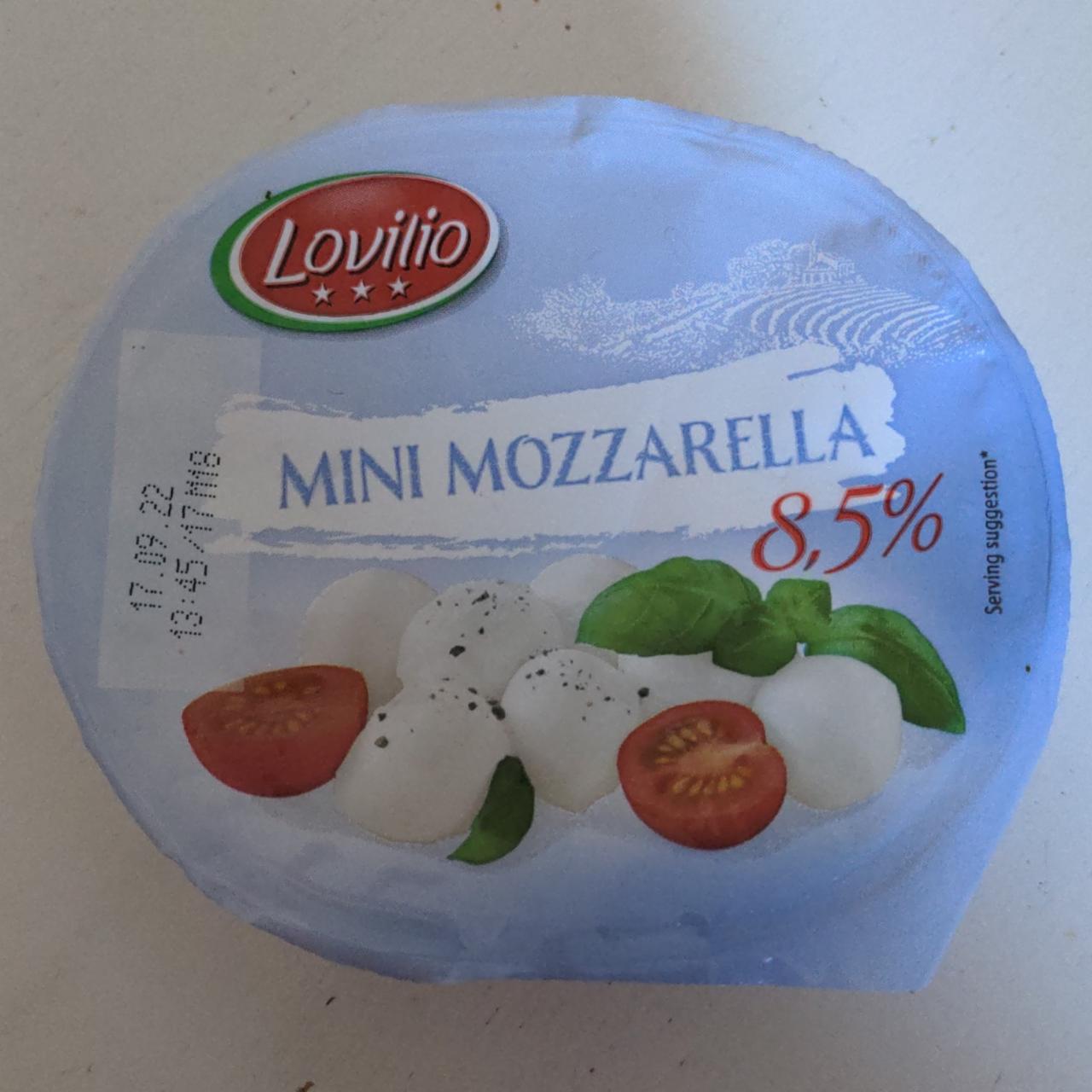 Фото - Сир 8.5% Mini Mozzarella Light Lovilio