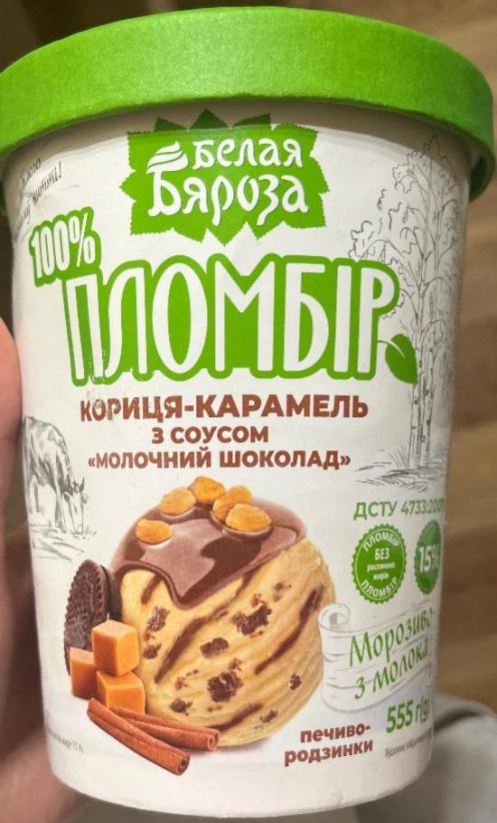 Фото - Морозиво пломбір Кориця-карамель з соусом молочний шоколад Белая Бяроза
