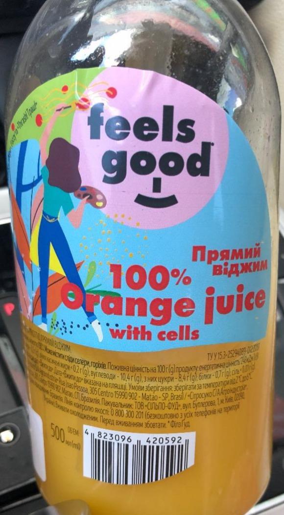 Фото - Сік апельсиновий Orange Juice 100% Feels Good