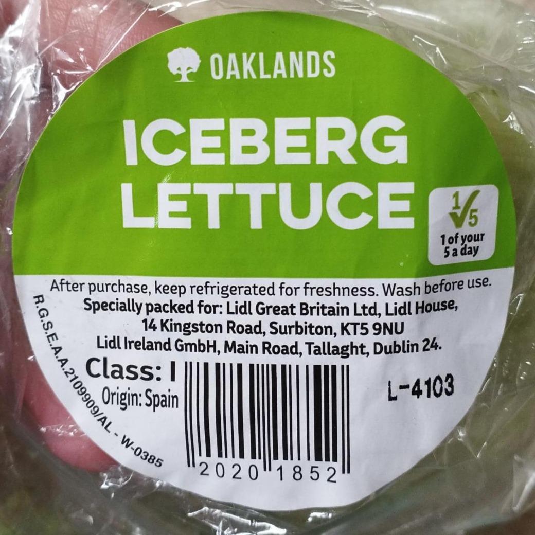 Фото - Iceberg Lettuce Oaklands
