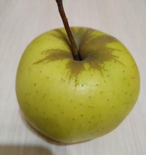 Фото - Яблуко білий налив