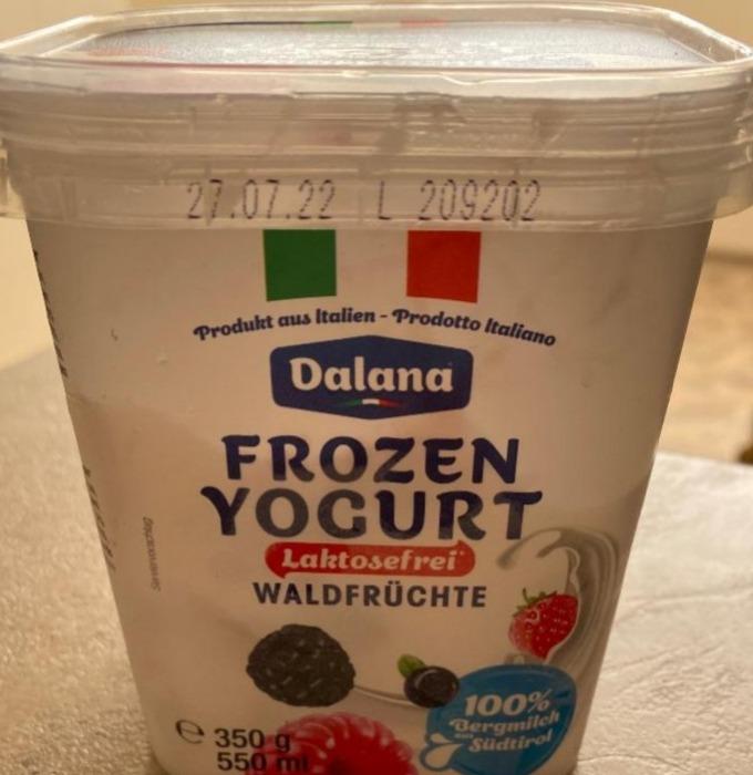 Фото - Йогурт з лісовими ягодами без лактози заморожений Dalana