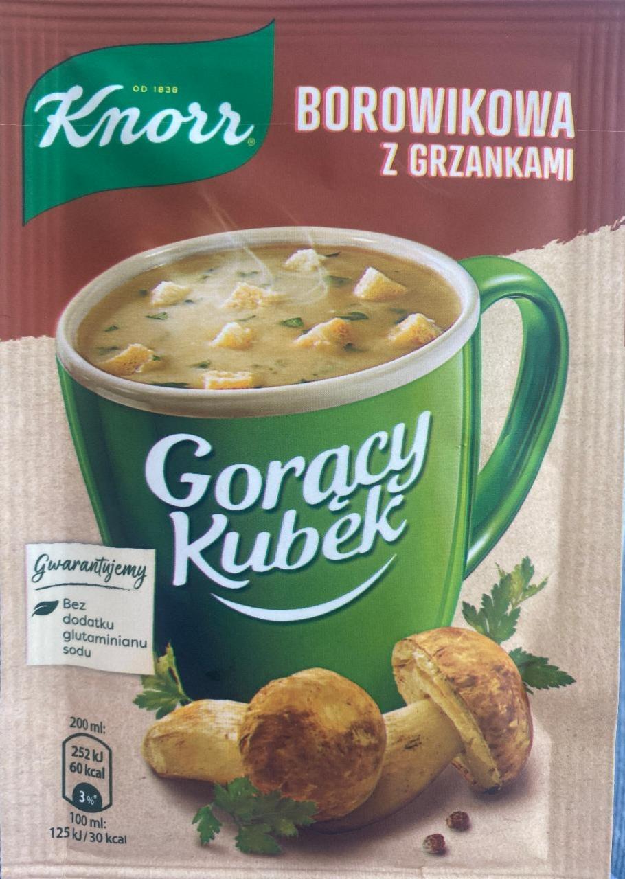 Фото - Суп з грибами та грінками Knorr