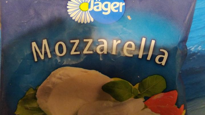 Фото - Сир м'який Mozzarella 45% жиру в розсолі Jäger