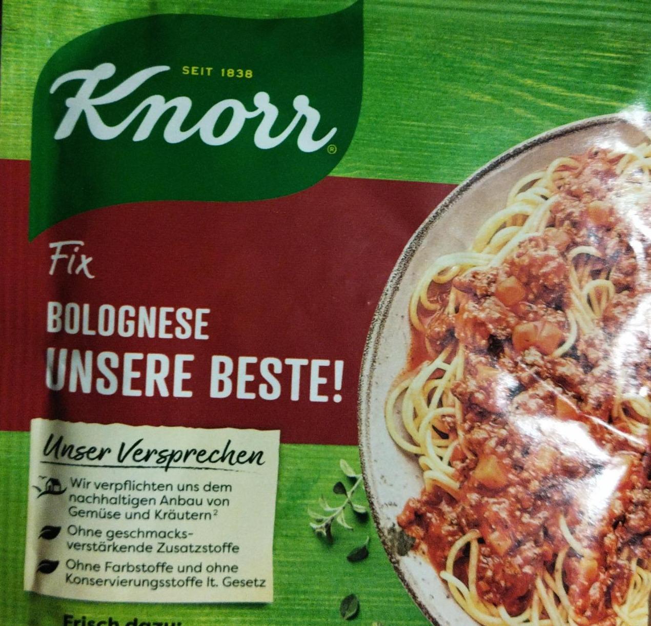 Фото - GeMi Fix Bolognese Unsere Beste Knorr