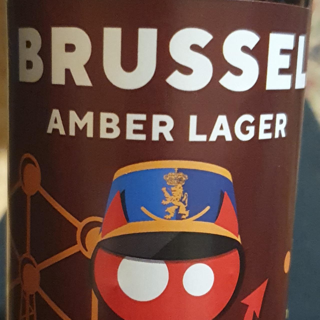 Фото - Пиво темне нефільтроване Amber Large Brussel Red Cat